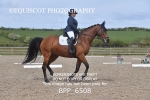 BPP_6508