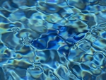 Aquatic reflections