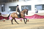 SBM_07091