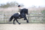 SBM_006352