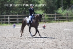 BPP_0705