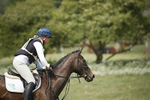 BVHT 140517  NXC -70