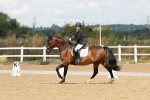 SBM_000560