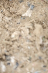 SBM_004815
