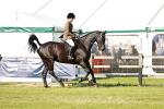 SBM_19231