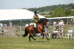 SBM_06921