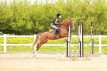 SBM_005337
