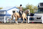 SBM_08584