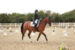 SBM_006848