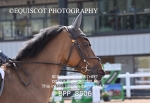 BPP_8506
