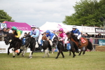 SBM_09981