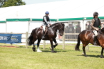 SBM_16441