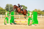 SBM_002206
