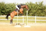 SBM_010336