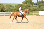 SBM_010073