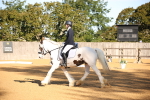 SBM_18277