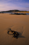 Doagh Isle (S111)