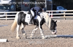 BPP_8993