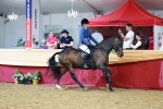 SBM_23528