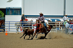 3HRodeo8-11-25_PRCASteer_06859_