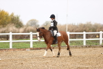 SBM_001951