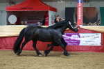 SBM_17619