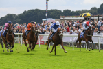250823-Race 1-Marhaba The Champ-0120