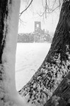 Winter at Kirkstall Abbey, Leeds (circa 1985)