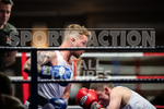 Sparring Bout-6_Tom Teers v Rob Brehaut-17