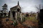Abandoned Jewish Cemetery Grave
