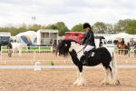 SBM_01652