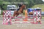 BPP_8763