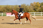 SBM_000874