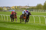 240424-Race 5-Tyger Bay-8236