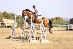 SBM_006781