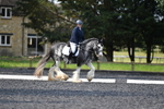 WJ5_9067
