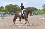 BPP_6687