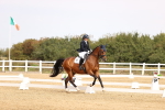 SBM_012891