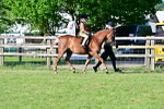 SBM_19912
