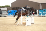 SBM_006310