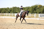 SBM_006782