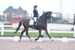 211-Hope.Hughes-Catherston.Oakley portfolio