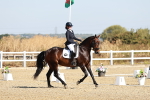 SBM_016880