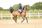 SBM_006986