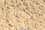 230811A-143047-05789