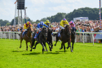 290723-Race 3-Alflaila-0543