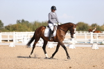 SBM_01849