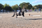 BPP_9451