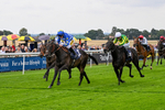290826-Race 1-Trilby-5264