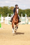 SBM_006584